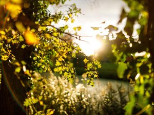 私の人生は一度きり。だけど「他人」になったら何度でも経験できる