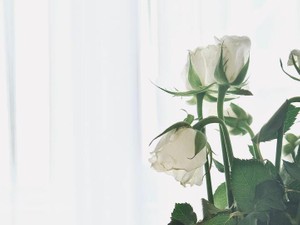 私を励まし続けてくれるドラマの世界。祖父との思い出が夢になった