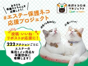 SNSでの応援で保護団体に猫用トイレ用品を寄贈　「#エステー保護ネコ応援プロジェクト」2026