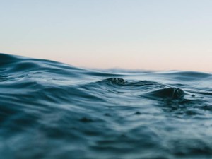 「正しい」人間でありたいけど、己の醜さが顔を出すたび苦しい