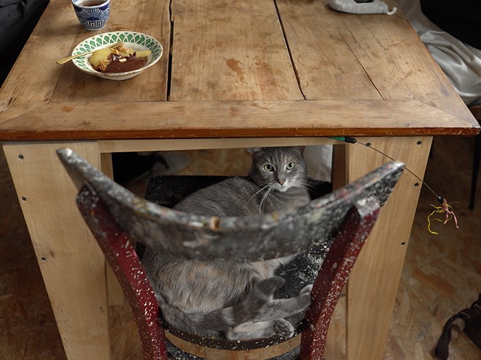 味のあるテーブルは旦那さんのお手製。椅子は拾いもの