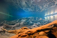 水中から。プールは昭和27年に発掘された場所をそのまま利用している