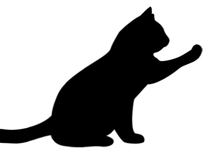 猫の虐待行為が楽しみになり、くり返す　元税理士に有罪判決