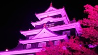 岡山城ライトアップイメージ（提供：岡山市）
