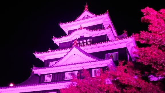 岡山城ライトアップイメージ（提供：岡山市）