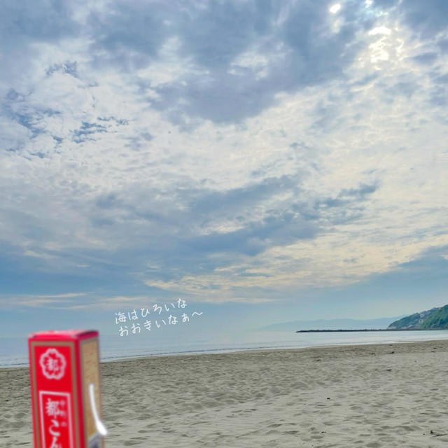 広い海からやってきた、国民的おやつ