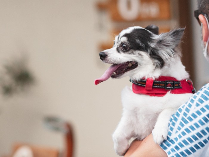  「迷っていないで、一杯飲んでいかない？私ものどがかわいた」（小林写函撮影）