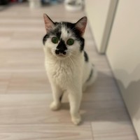 お家に来た頃、最初から人懐っこかった。