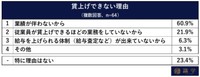 【賃上げを予定していない企業の経営者・役員】賃上げできない理由（提供画像）