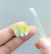 右手に持っているのが「白菜」の「原材料」（画像提供：テテシゴト・ミニチュア刺繍糸作家さん）