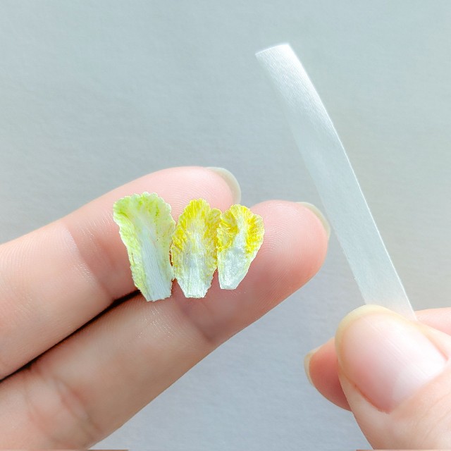 右手に持っているのが「白菜」の「原材料」（画像提供：テテシゴト・ミニチュア刺繍糸作家さん）