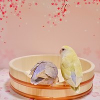 （提供:立花容器）