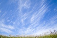 美しい巻雲（dwph／stock.adobe.com）