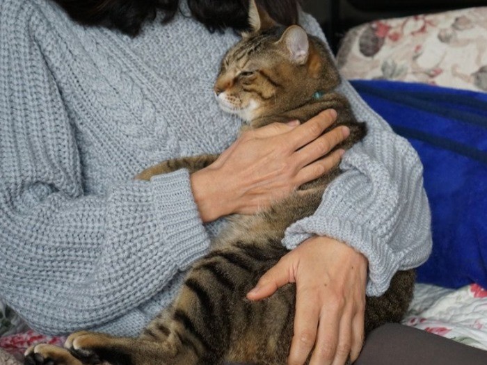 「しろがいぬ間に甘えるのだ」