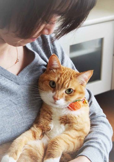 ボール代わりに蹴られていた豆、通りかかった女性に救われた。「虐待から救われて」より　（寄りそう猫 / 辰巳出版）