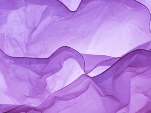 学生時代に華を添える服を着れなかったけど、私の「大切な一着」