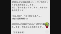 偽SNS　提供：石原果樹園