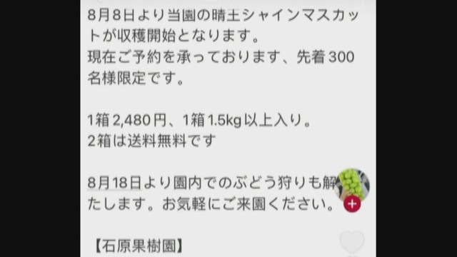 偽SNS　提供：石原果樹園