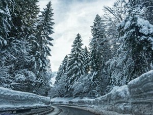 悲しい出来事に敏感で。絵本で夢見た世界はないと決め込んでいた