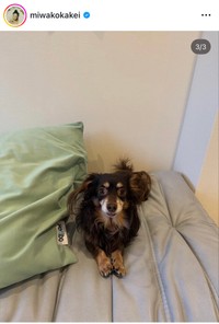 筧美和子インスタグラム＠miwakokakeiより