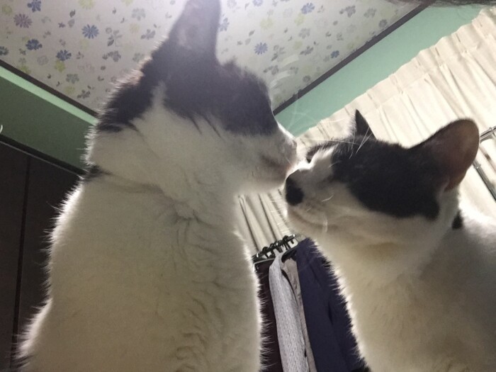 「最初誰？と思ったけど、気が合ったわね」「うん、小梅ばあたん」（早苗さん提供）