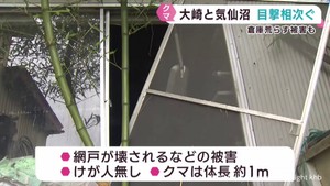 宮城・大崎市と気仙沼市でクマ目撃相次ぐ　大崎ではクマが倉庫荒らす被害