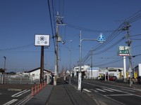 何の変哲もない郊外の町　「花一番」の看板横に立つ電柱のてっぺんにフクロウが？