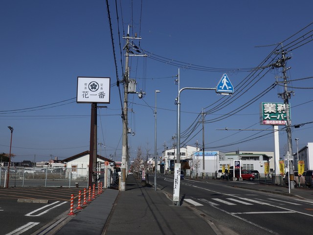 何の変哲もない郊外の町　「花一番」の看板横に立つ電柱のてっぺんにフクロウが？