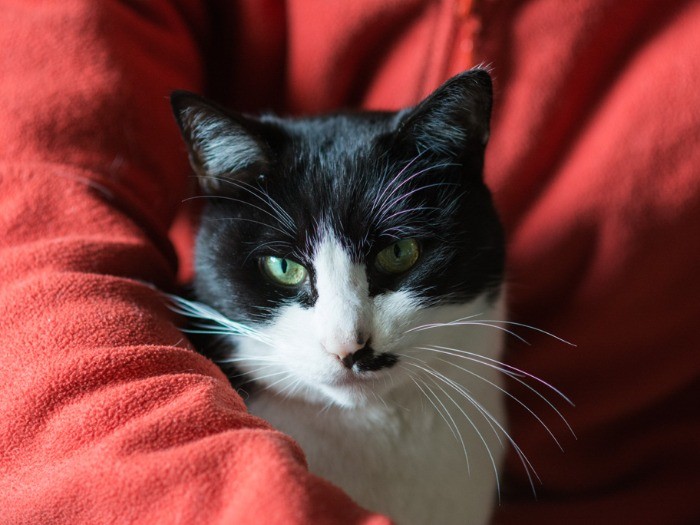 「フリースは暖かいな」（小林写函撮影）