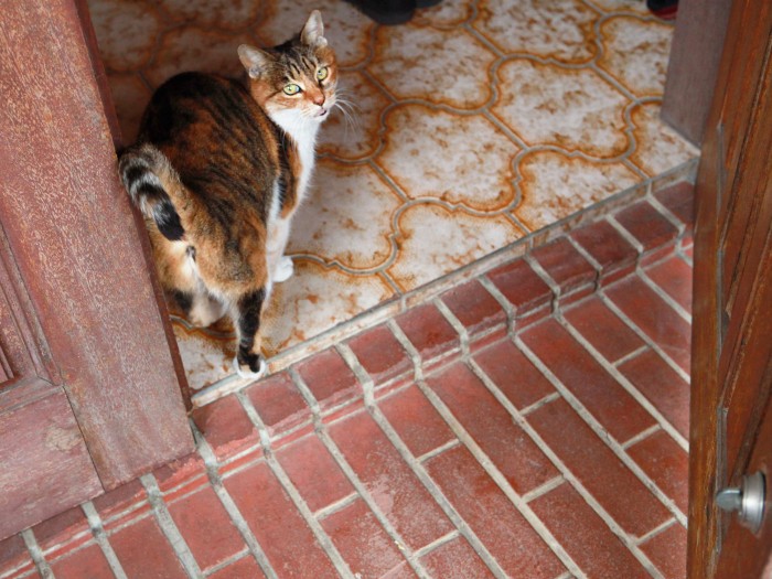 玄関もいつも開いていた