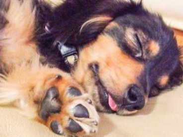 高齢化で何が起きる？　寝たきりで床ずれ、咳が止まらない…