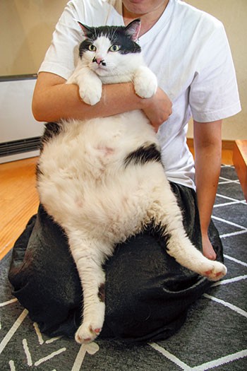 お腹に、もう１匹入ってる？