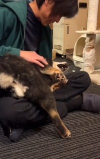 齋藤さんの膝の上に乗るまりおくん（「一般社団法人わんずふりー」さん提供、Instagramよりキャプチャ撮影）