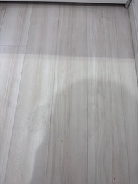 おわかりになるだろうか（わーさん提供）