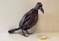 実際のカラスの模型（中田文花さん提供）