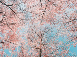 今も大好きなパパへ。会える日を夢見て、パパの言葉を勉強しています