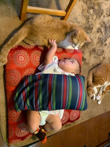 言葉がなくても通じ合うものがあったみたい（高橋さん提供）