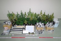 大麻を栽培や大麻入りのクッキーを所持した疑い　岩手県の夫婦逮捕　香川・丸亀警察署