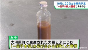 桜の名所一目千本桜の酵母を使ってみそ作り　宮城・角田市