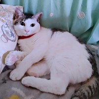 幸せな日々を送るグミちゃん（画像提供：山口夏実さん）