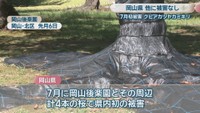 岡山後楽園(岡山･北区)8月6日