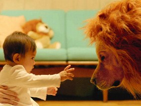 ゴールデンレトリバーと赤ちゃんは合成？　アマゾンプライムＣＭ