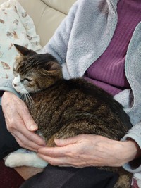 いつも一緒だったね＝ミケちゃんさん（@ojm52811）提供