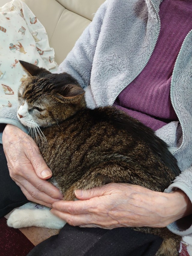 いつも一緒だったね＝ミケちゃんさん（@ojm52811）提供