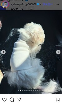 あ～ちゃんのインスタグラム＠a_chan.prfm_p000001より