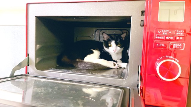 いなくなったと思ったら、こんなところに！？