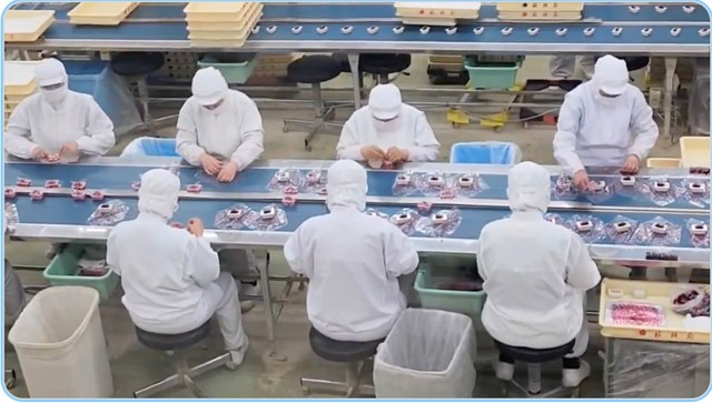 『桔梗屋信玄餅工場テーマパーク』内の工場見学の様子（動画よりキャプチャ/提供：Aya Roweさん）