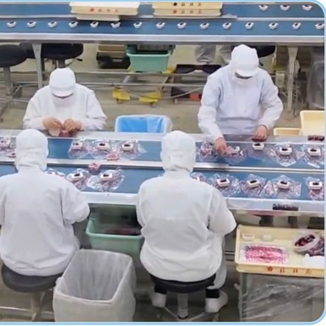 『桔梗屋信玄餅工場テーマパーク』内の工場見学の様子（動画よりキャプチャ/提供：Aya Roweさん）