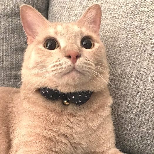 目も頬も丸くて可愛い