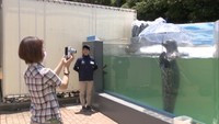 新屋島水族館が約3カ月ぶりに営業再開　人気アザラシも久々に傘差し披露　高松市